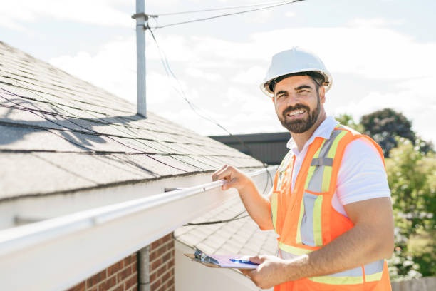 Best Roof Moss and Algae Removal  in Rock Hill, MO